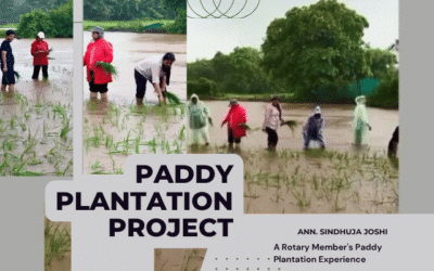 “More Than Mud and Monsoon…”